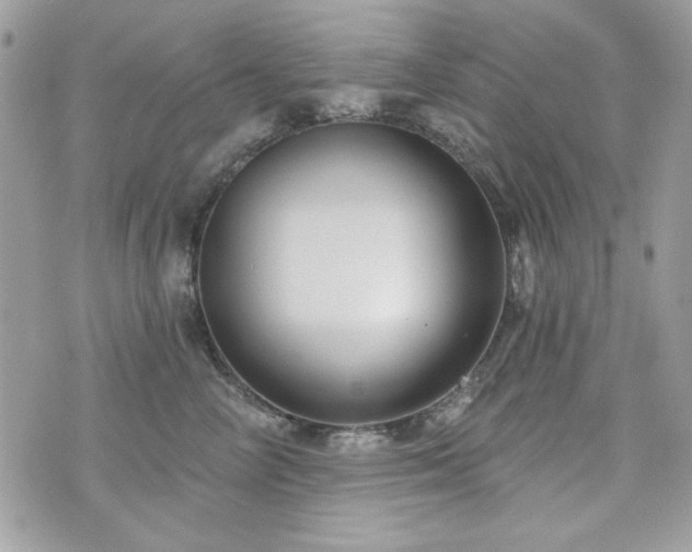 X0000076340714200609291132