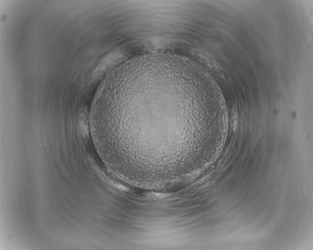 X0000076340719200609291132