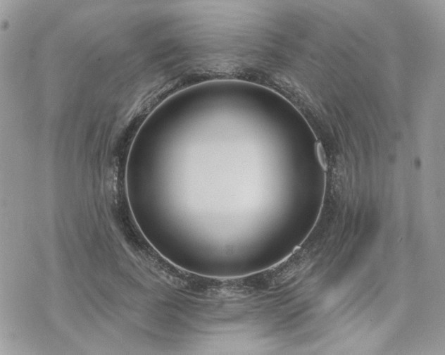 X0000076340739200609291131