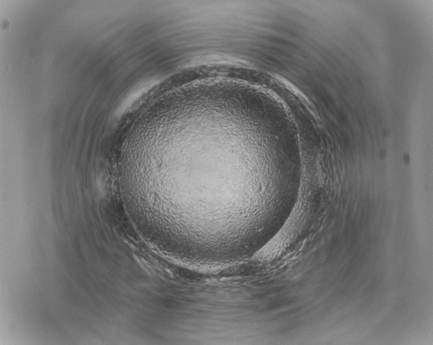 X0000076340775200609291131