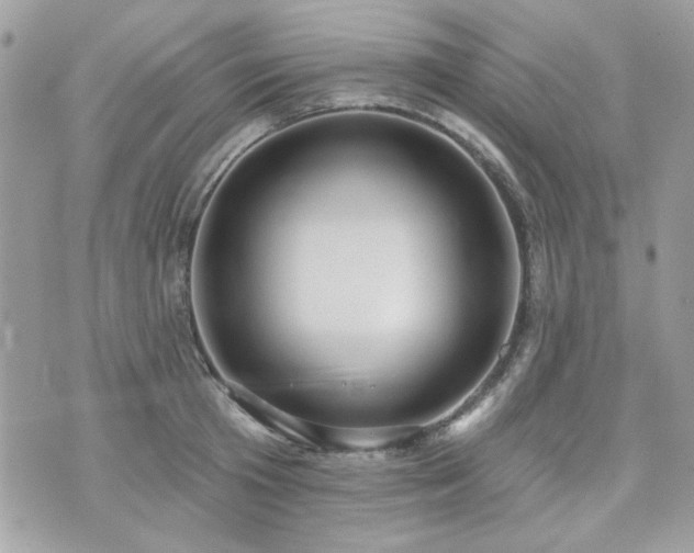 X0000076340801200609291130