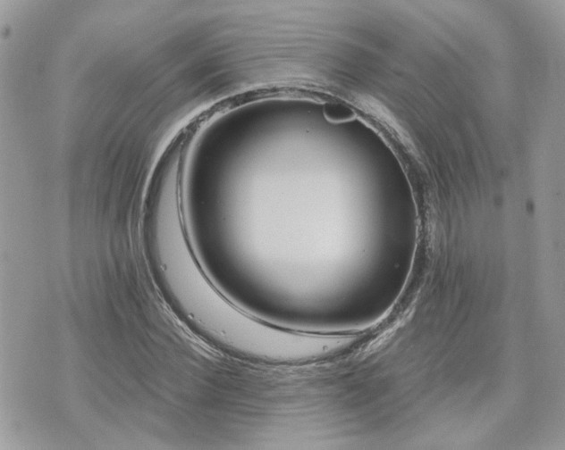 X0000076340924200609291128