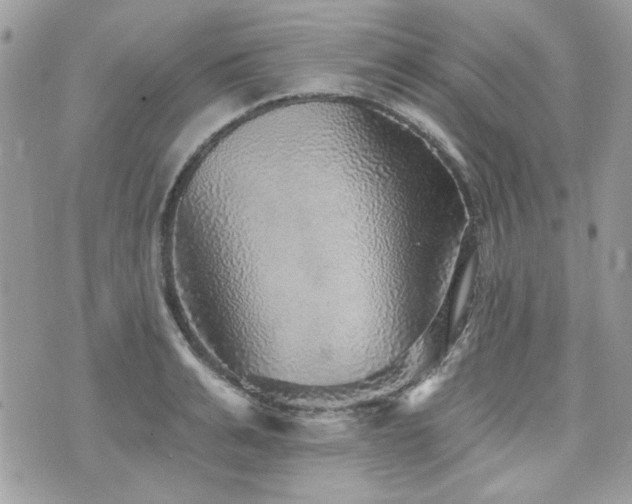 X0000076340991200609291127