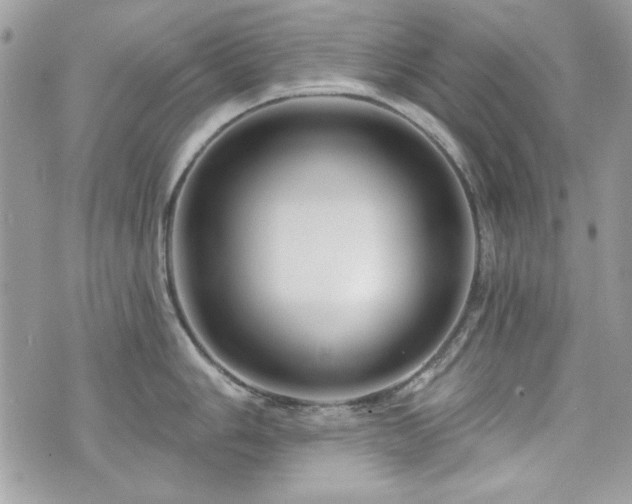 X0000076341006200609291127