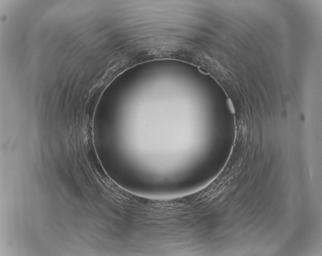 X0000076341012200609291126