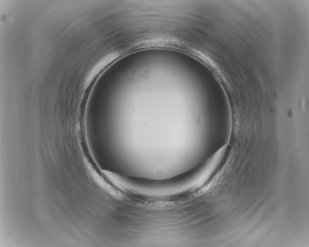 X0000076341042200609291127