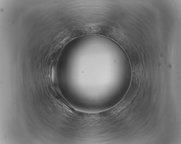 X0000076341058200609291126