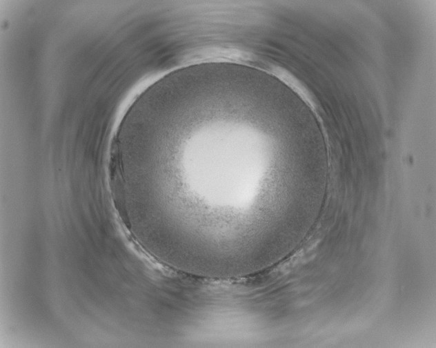 X0000076341104200609291125