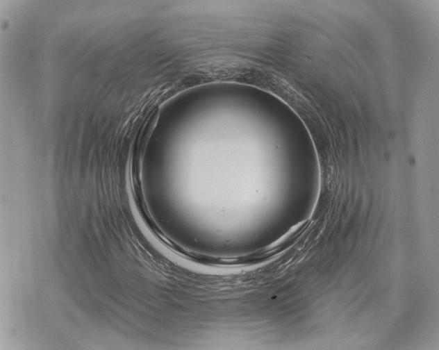 X0000076341108200609291125