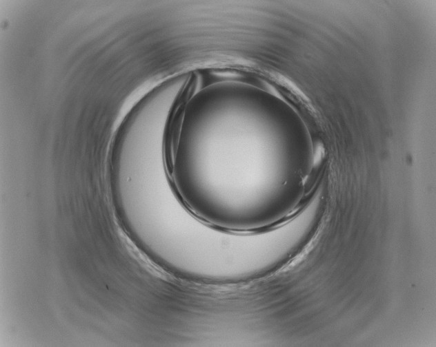 X0000076341122200609291125