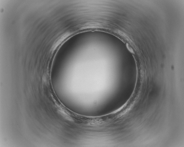 X0000076341129200609291125