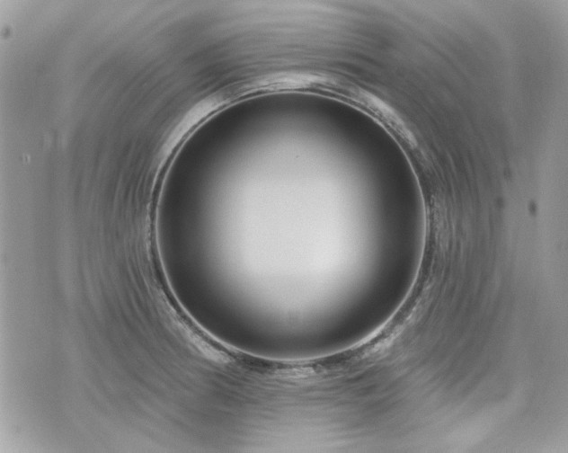 X0000076341186200609291124
