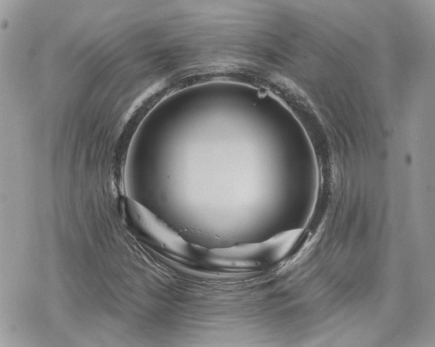 X0000076341210200609291123