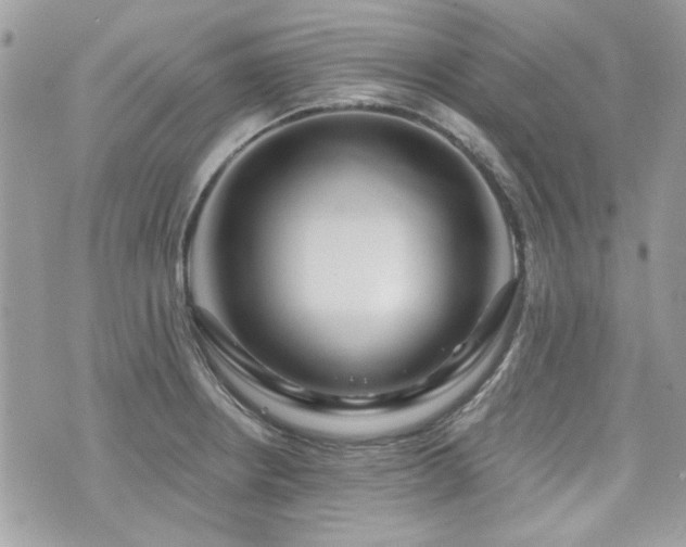 X0000076341234200609291124