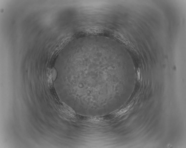 X0000076341251200609291123
