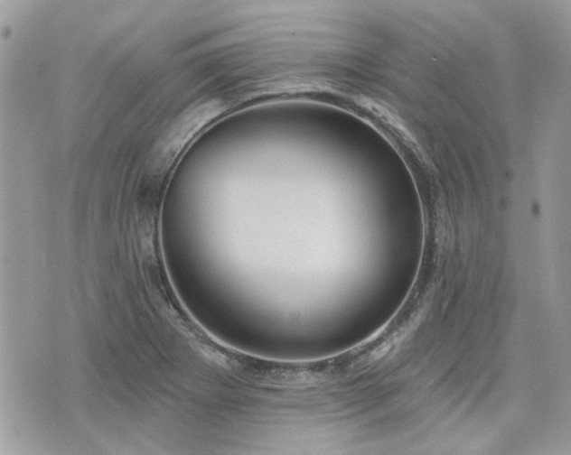 X0000076341273200609291123