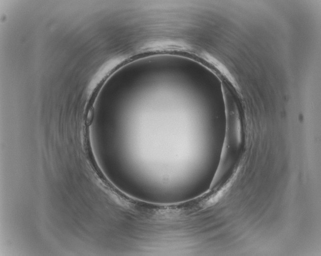 X0000076341277200609291123