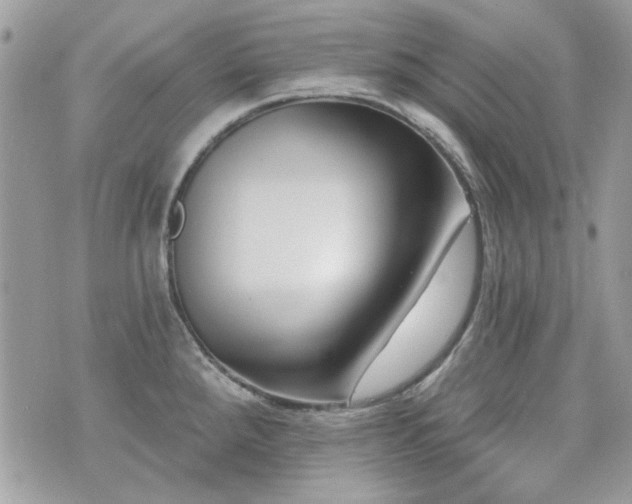 X0000076341288200609291122