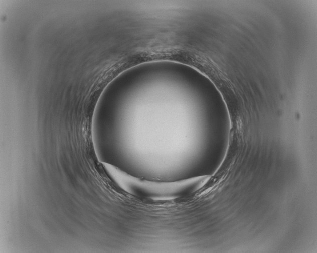 X0000076341300200609291122