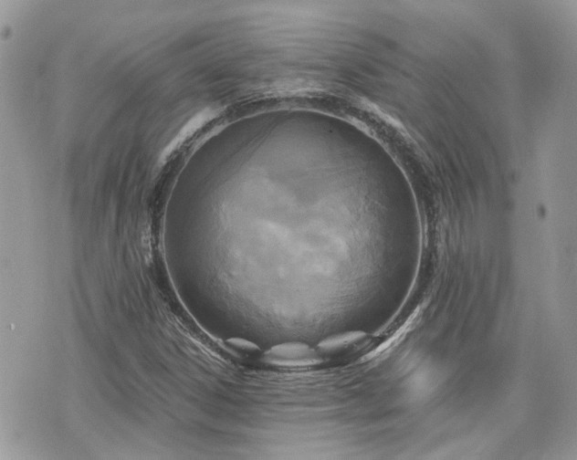 X0000076341306200609291122