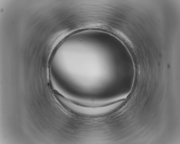 X0000076341324200609291122