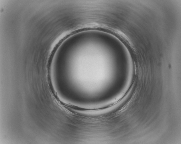 X0000076341326200609291122
