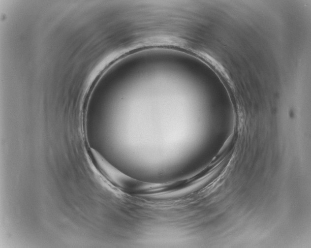 X0000076341342200609291122