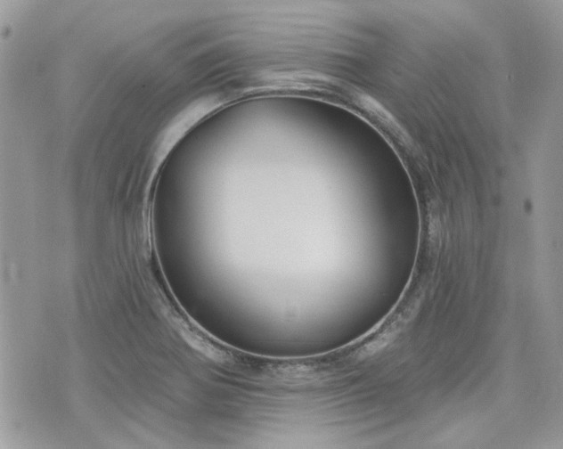 X0000076341370200609291121