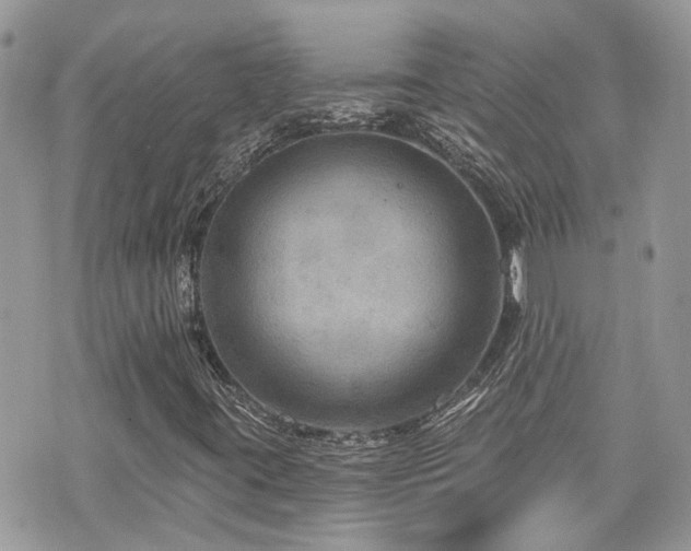 X0000076341395200609291120