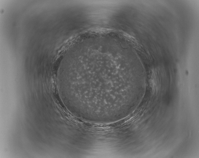 X0000076341397200609291120
