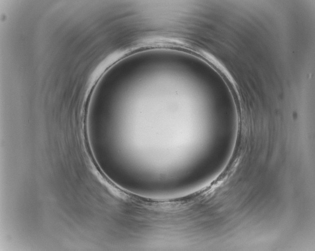 X0000076341437200609291121