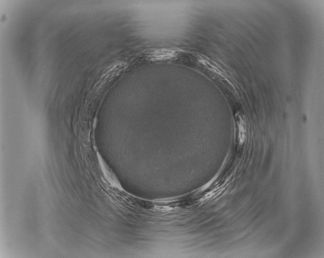 X0000076341441200609291120