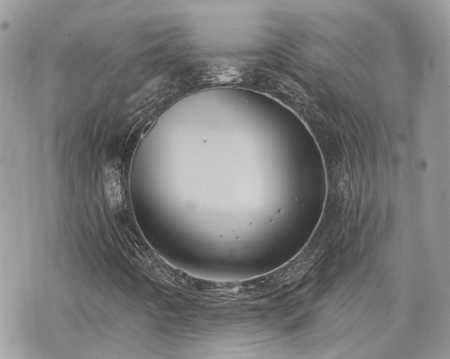 X0000076341442200609291120