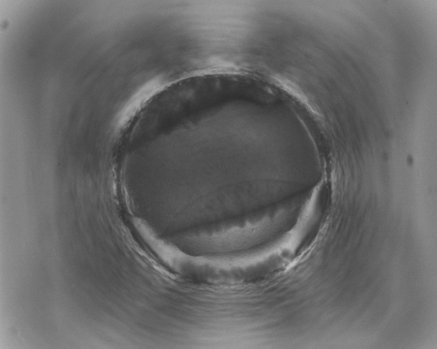 X0000076341455200609291120