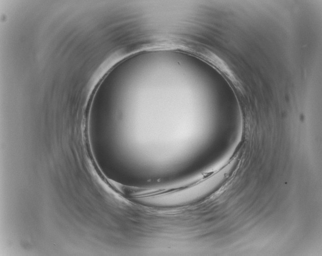 X0000076341484200609291119