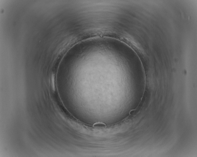 X0000076340022200610061512