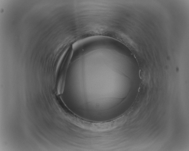 X0000076340027200610061512