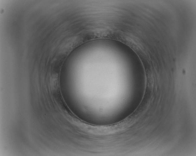 X0000076340034200610061512