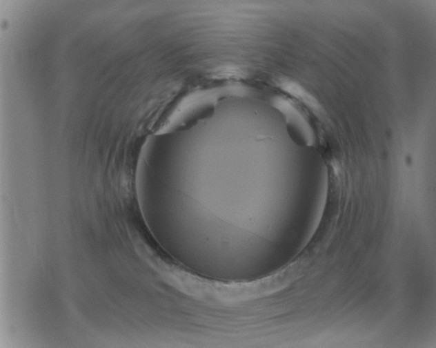 X0000076340039200610061512