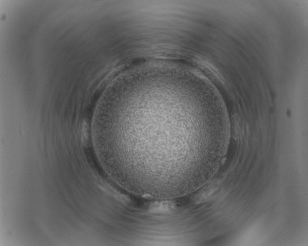 X0000076340077200610061511