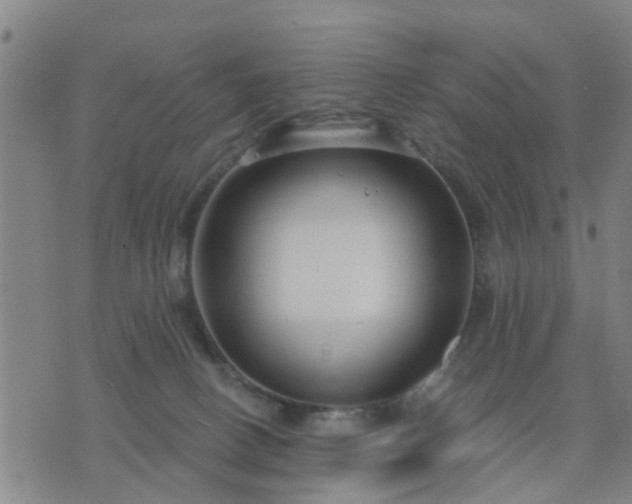 X0000076340082200610061511