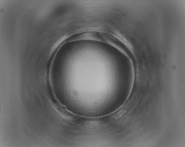 X0000076340107200610061511