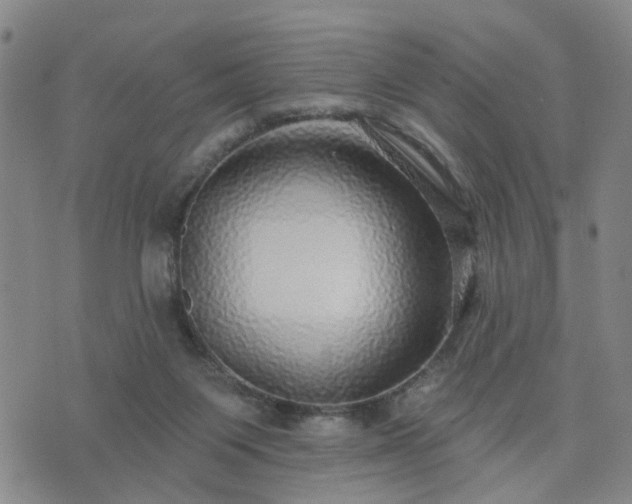 X0000076340119200610061510