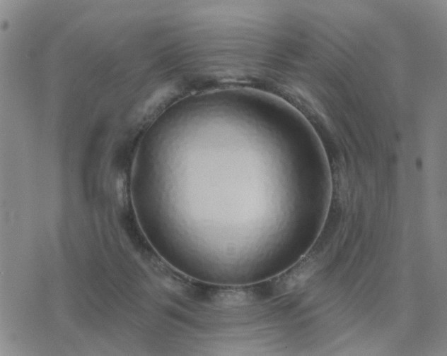 X0000076340123200610061510