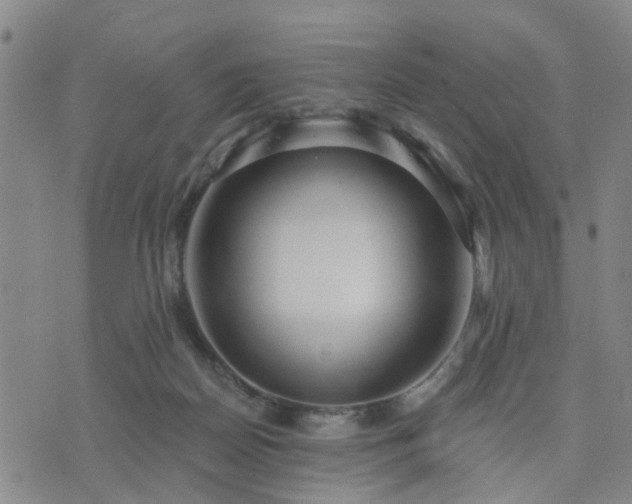 X0000076340170200610061510