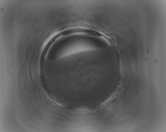 X0000076340200200610061509