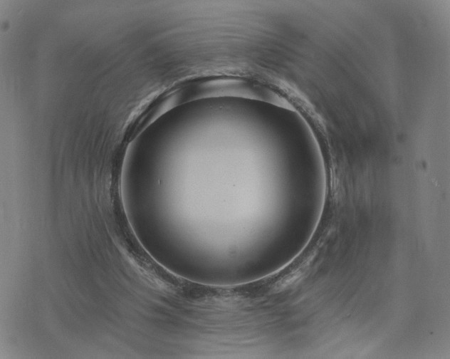 X0000076340201200610061509