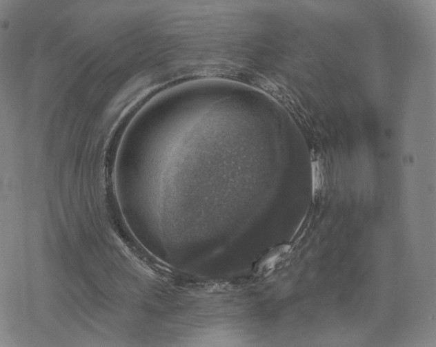 X0000076340243200610061508