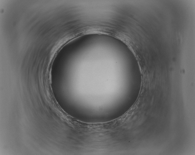 X0000076340289200610061508