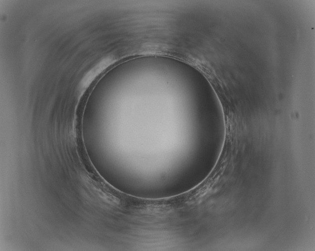 X0000076340292200610061507